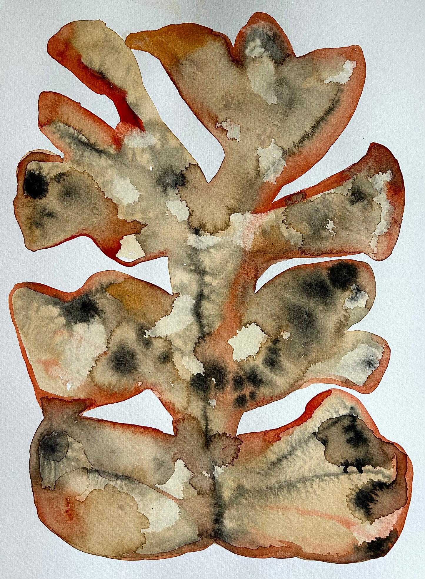 Akvarellmålning - Livslinjer