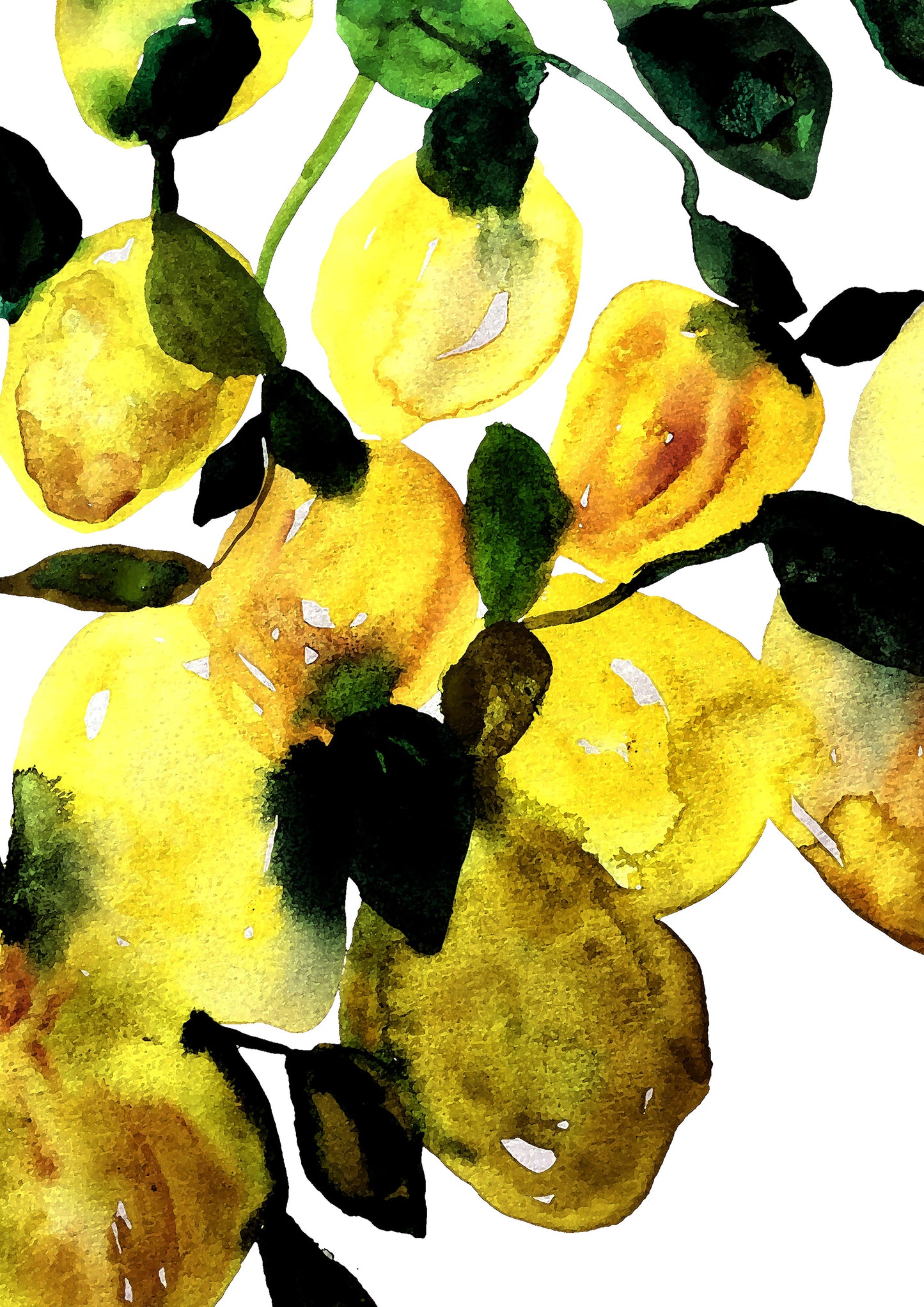 Lemontree print Karolina Palmér. Signerad poster i gula färger.