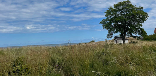 Grön harmonisk vy från Gotland.