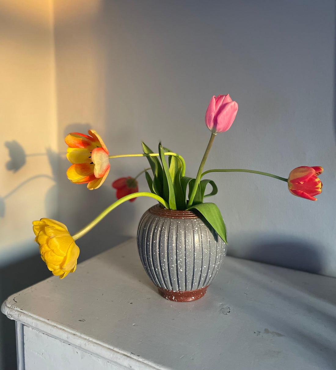 Energihöjare i ett rum. Färgglada blommor.