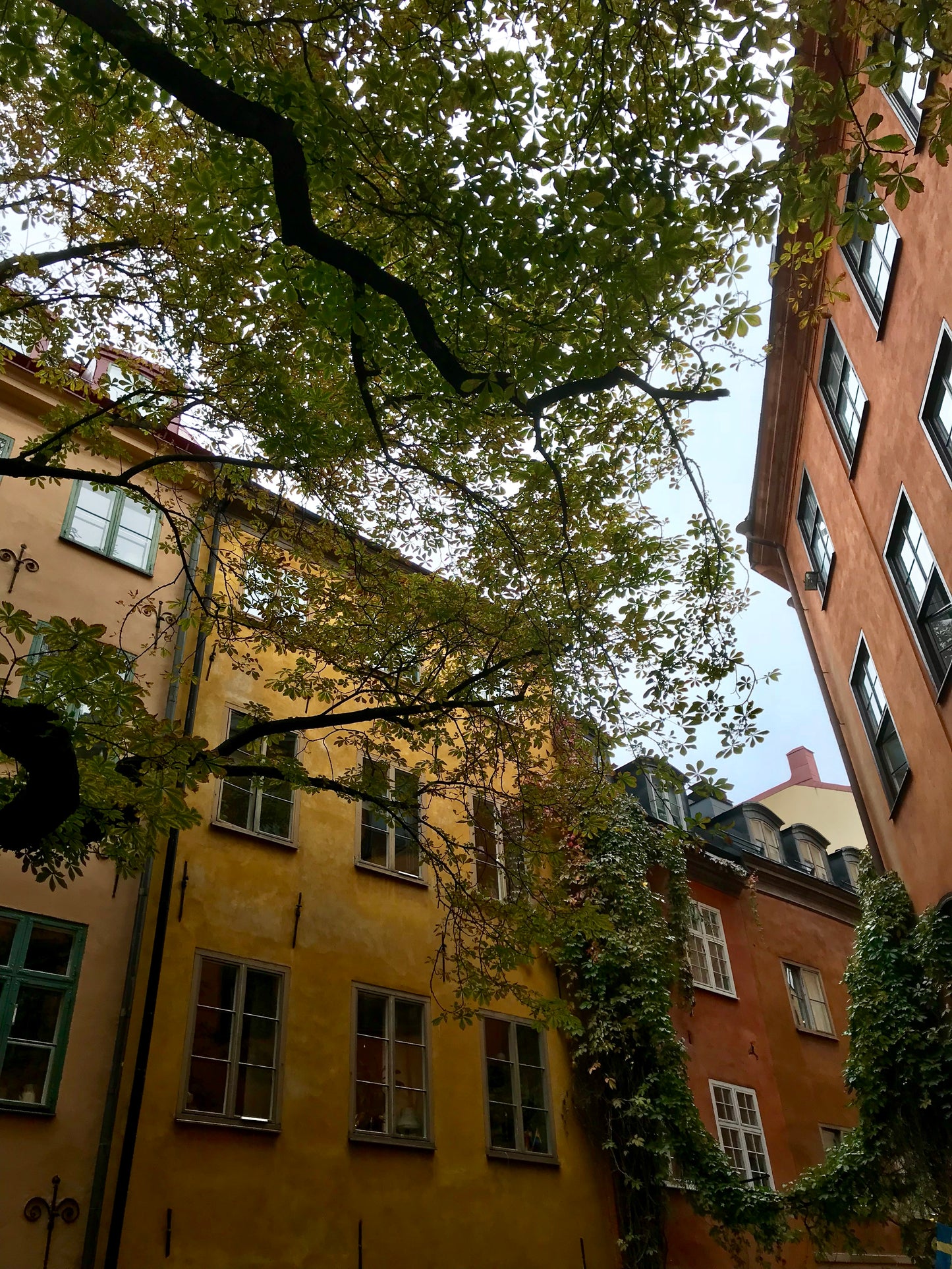 Feng Shui-rådgivning för ett rum